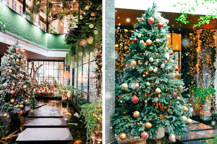 Không khí Noel ấm áp ngập tràn mọi góc của Oromia