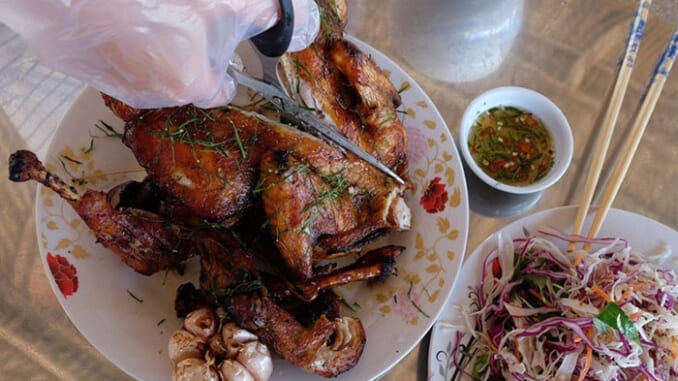 Gà đốt Ô Thum dậy sóng vùng Bảy núi ! Gà đốt Ô Thum dậy sóng vùng Bảy núi !