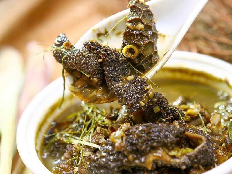 Nậm Pịa Tây Bắc - Ảnh: livingnomads.com