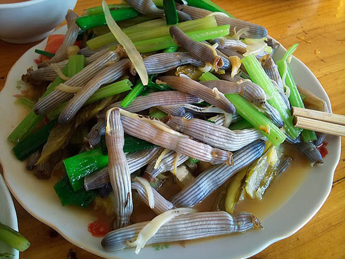 Sá sùng xào