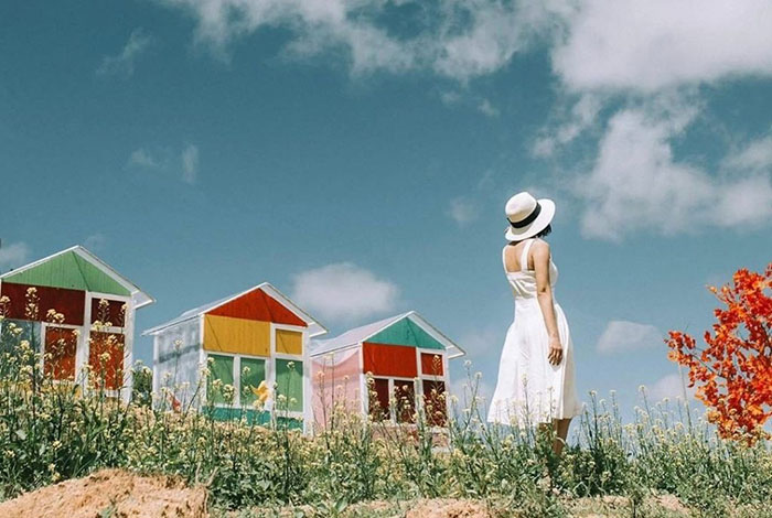 Sunny farm homestay Đà Lạt