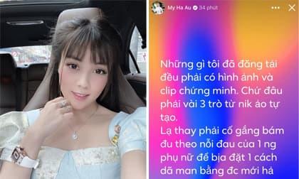 Mỹ Lệ, ca sĩ Mỹ Lệ, sao Việt