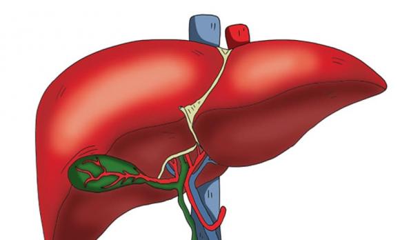 Ung thư gan giai đoạn đầu không đau, không ngứa, trên tay có 3 ‘dấu hiệu’ là gan đang kêu cứu