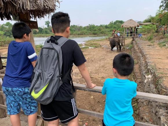 BTV Quang Minh, Nguyễn Quang Minh, sao Việt