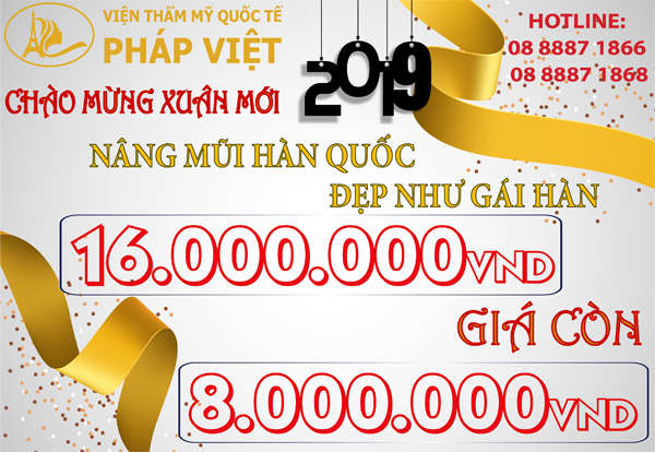 bác sĩ thẩm mỹ Huỳnh Vi Hồng Ân, nâng mũi Hàn Quốc, Viện Thẩm Mỹ Quốc Tế Pháp Việt