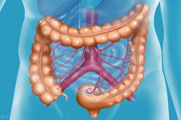 polyp đại tràng, ưng thư, ung thư ruột, nội soi đại tràng 