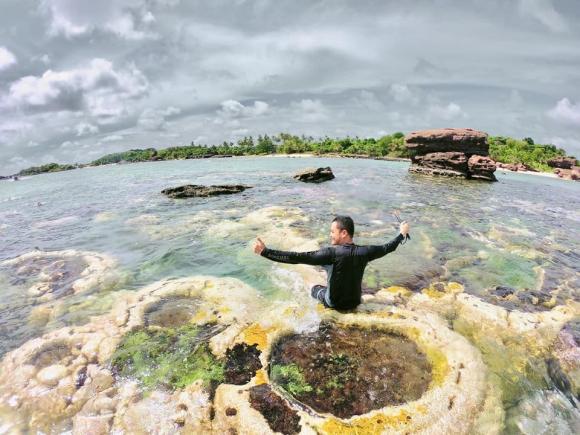 Quang Vinh, Phạm Quỳnh Anh, sao việt 