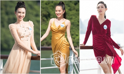 hoa hậu Đỗ Mỹ Linh, hoa hậu Mai Phương Thuý, á hậu Phương Nga, Miss World Việt Nam, hoa hậu quốc tế việt nam