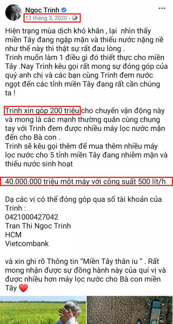 ngọc trinh, sao việt 