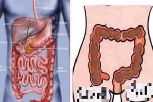 Một người phụ nữ có tử cung tốt thường có một số ‘đặc điểm chung’ khi đến kỳ kinh nguyệt, nếu bạn phù hợp thì rất đáng để khoe