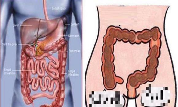 Một người phụ nữ có tử cung tốt thường có một số ‘đặc điểm chung’ khi đến kỳ kinh nguyệt, nếu bạn phù hợp thì rất đáng để khoe