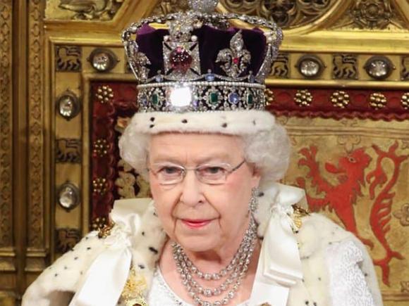 Nữ hoàng Elizabeth đau buồn sau khi thiên nga của bà chết vì bệnh cúm gia cầm